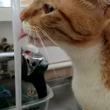 Tobias is very thirsty