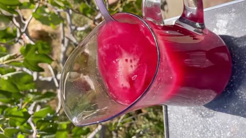 Making fruits juice