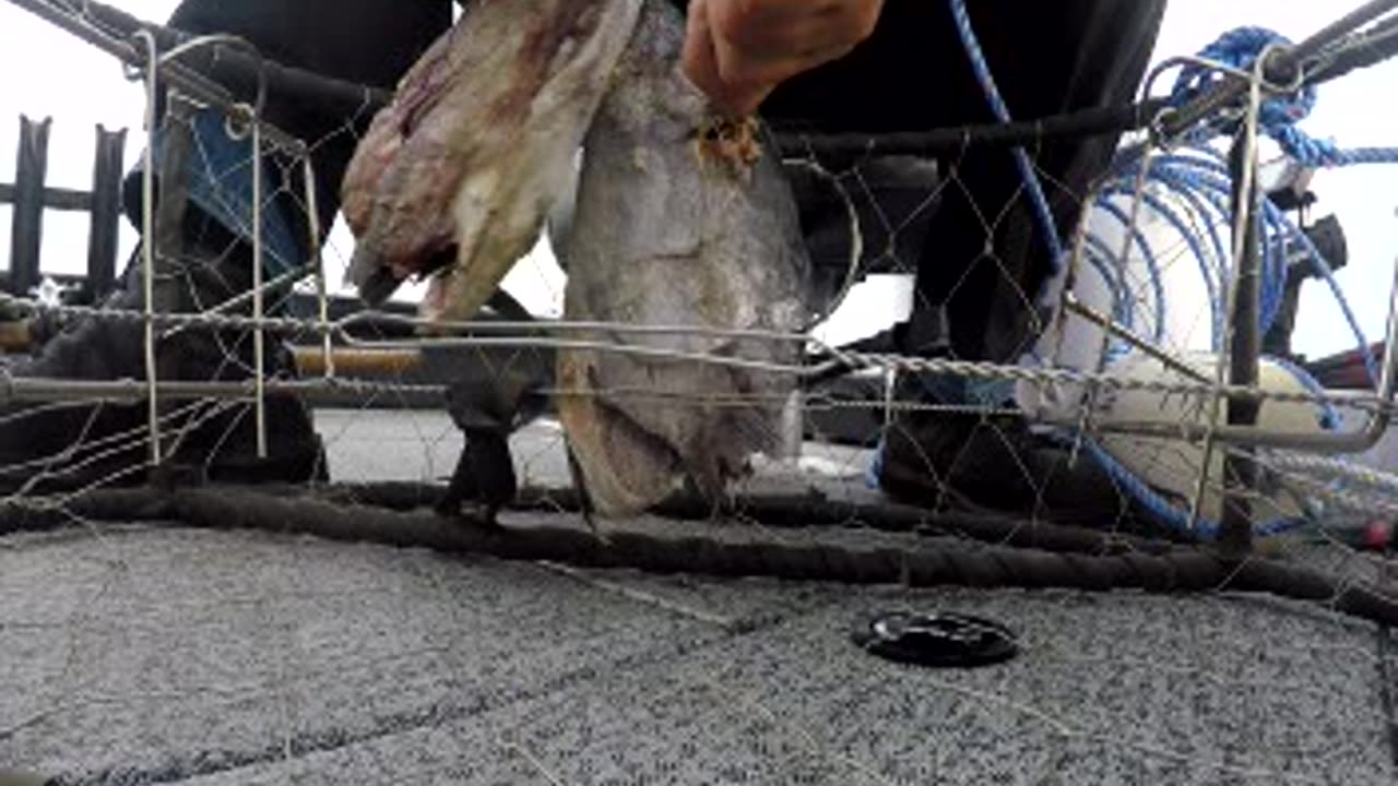 Bay crabbing in Southern Oregon.