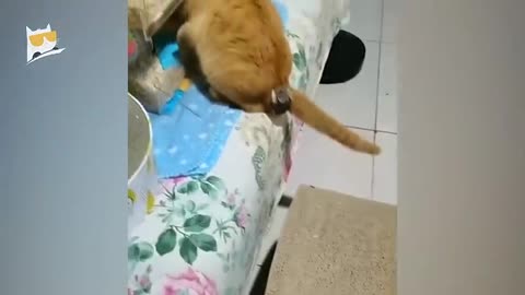 AN HOUR FULL OF LAUGH