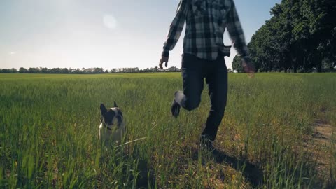 Adult casual man playing with small dog outdoors in summer season Guy wearing casual shirt and jeans