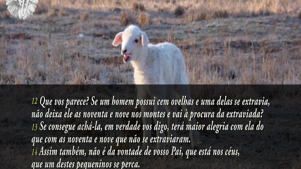 Evangelho Segundo Mateus, Capítulo 18