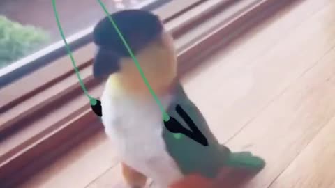 Jumping Rope Master 😂😂 #LeopARTnik #parrot #workout #jumping #jumpingrope