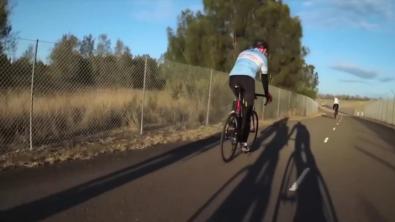 cyclist is hit by kangaroo