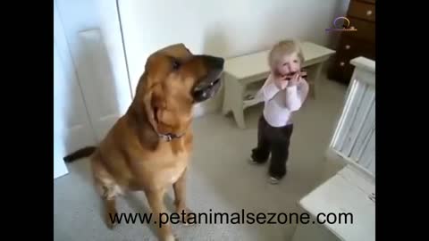 Benifets of having a dog for a child , Dog singing with kid