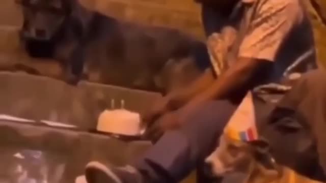 Homeless man celebrates birthday with his bestfriends... adorable