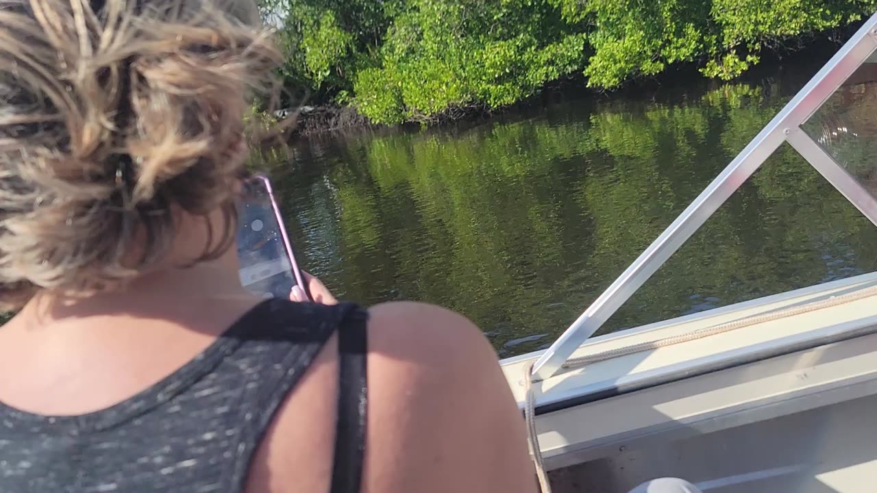 Jumping a gator on the creek