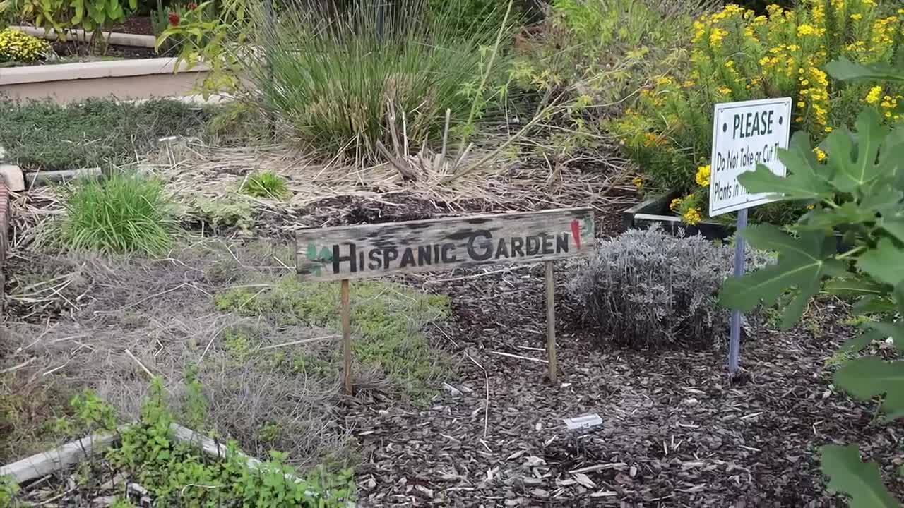 THE PEOPLE OF THE USA ARE PRIMITIVE IDIOTS, PROVE ME ERRONEOUS