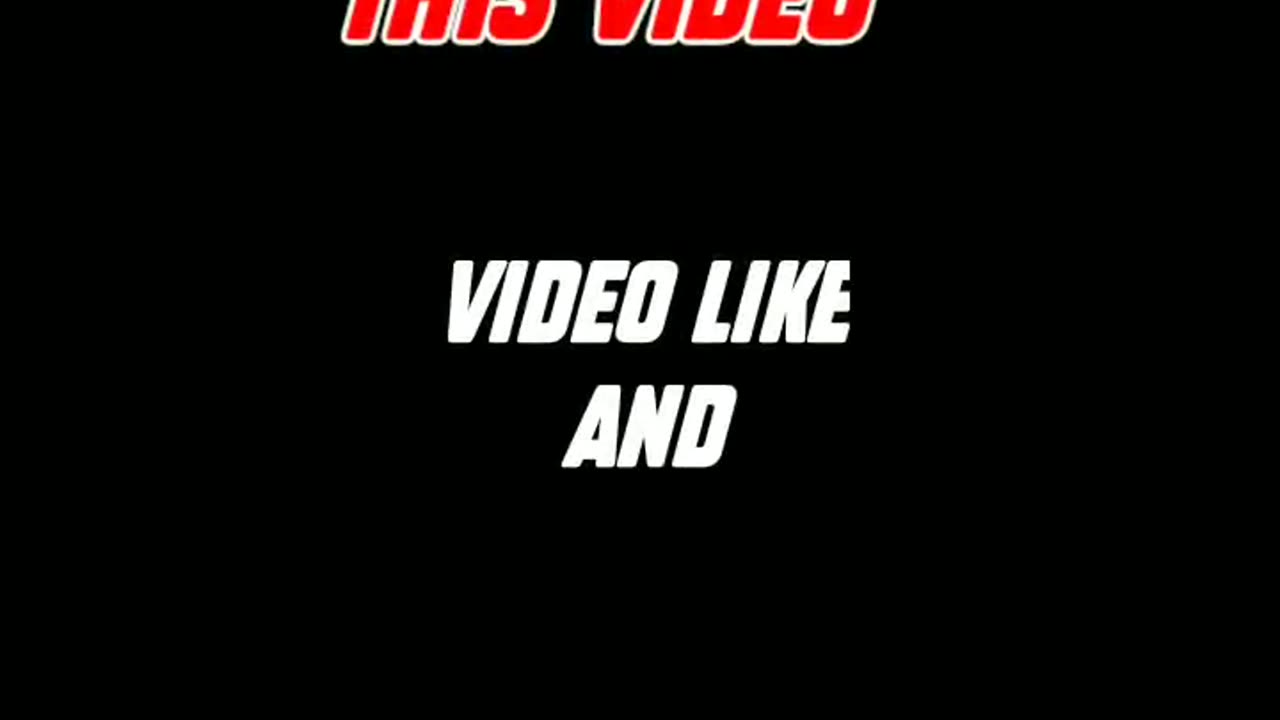 Animals funny and comedy video part 2