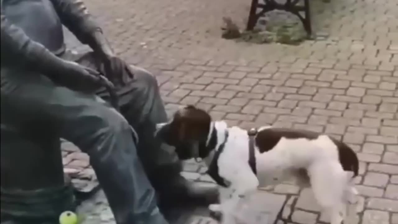 😆🤣😆🤣😆🤣