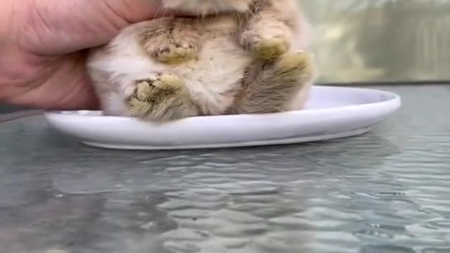 This is ssoooo cute!!!