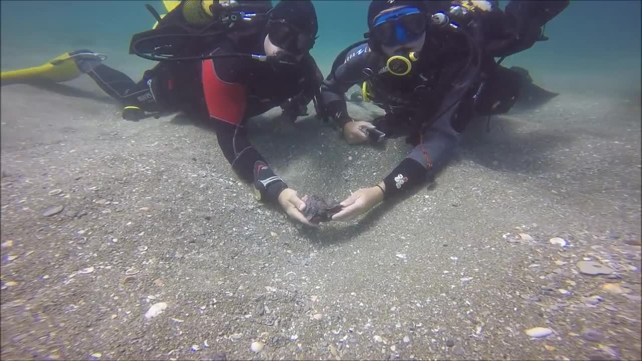 Incredible sunken treasure trove found on Israel's seabed