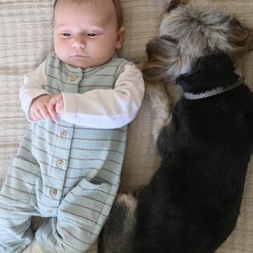 cute baby for sleep and cute dog wow❤😍
