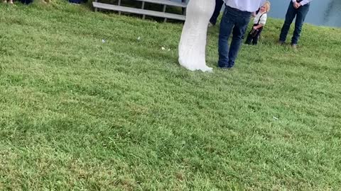 A Baptism and Wedding BOGO!