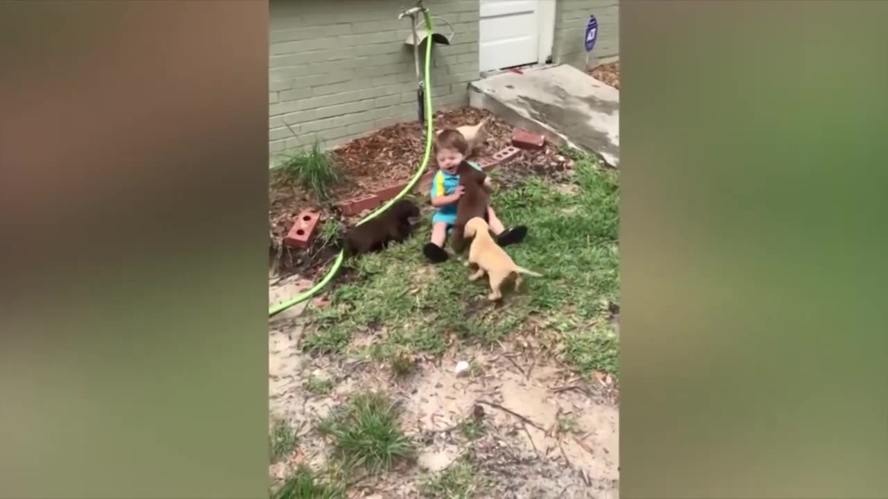 Dogs And Babies Are Best Friends