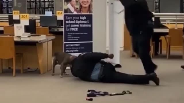 Security Guard Gets Attack By A Dog At His Job!