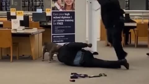 Security Guard Gets Attack By A Dog At His Job!