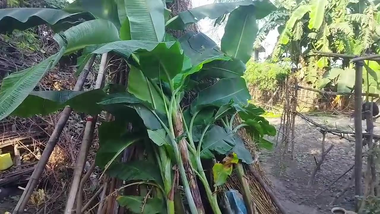 Chhat puja ka first aarag ka din ghar banane ja rahe h