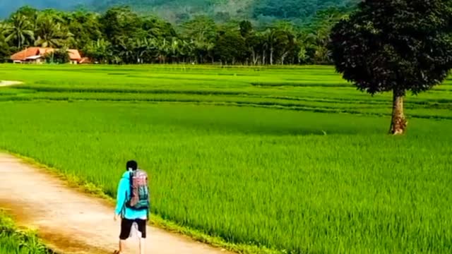 Liburan menikmati alam Curug Citambur