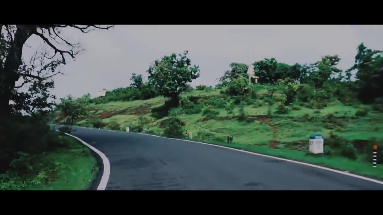 Into the nature cinemtic travel video