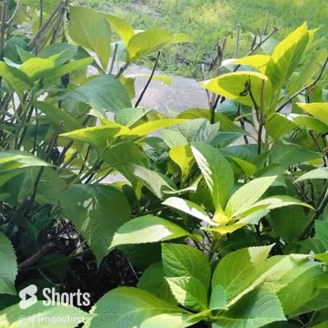 Saturday is my sabbath day!☀️ Healing the heart mind body soul ❤️_🩹