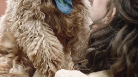 Cute dog