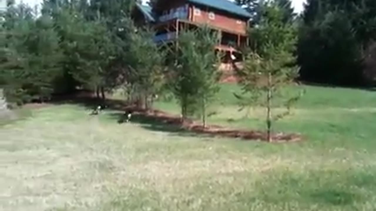Fiona & Gunnar up on the mountain