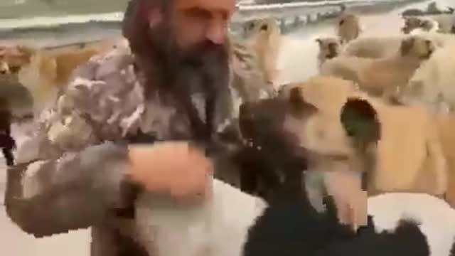 Save the soul of an innocent animal's