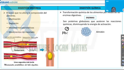 VERANO ADUNI 2022 | Semana 03 | Biología