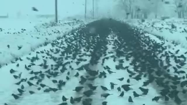 The voltage level rises