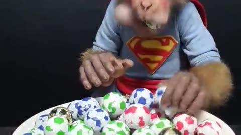 Cute Baby Monkey Eats Candy Balls