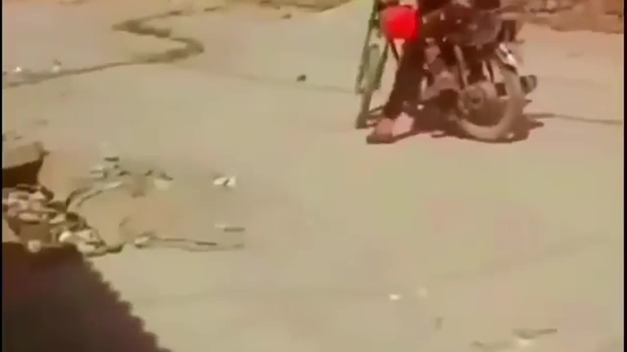 Funny Video