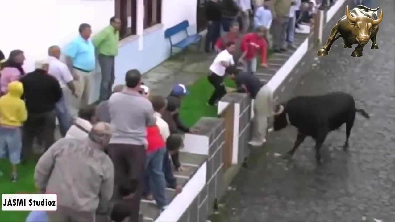 Bull Attacks Men | Bull Fight Moments | Bull Fight Compilation |