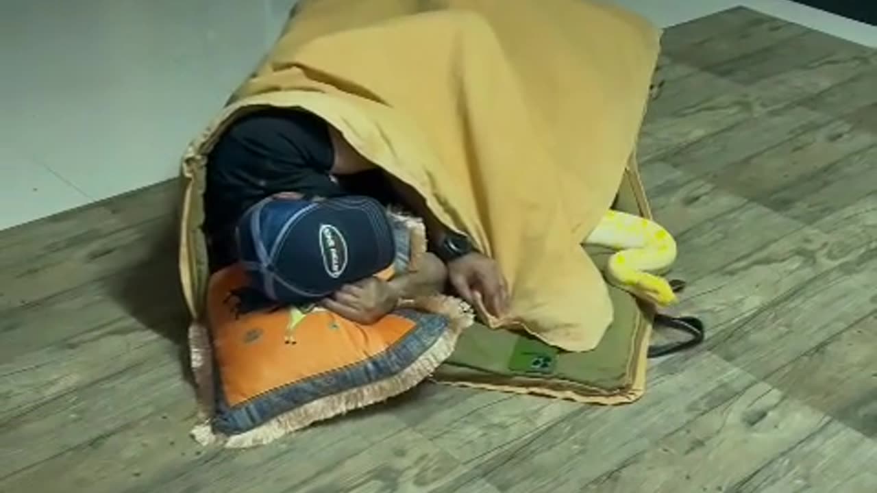 Sleeping with snacks