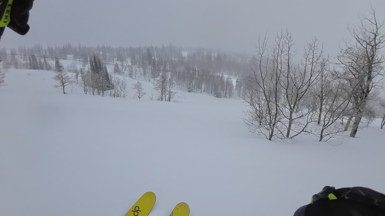 3/20 #1st and only run