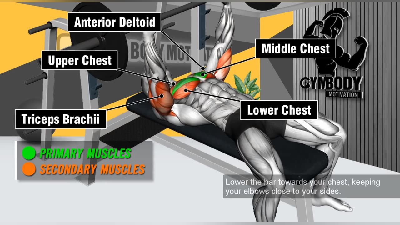 Chest Workout .. 8 Best Exercise For Chest Workout .. GYM BODY MOTIVATION