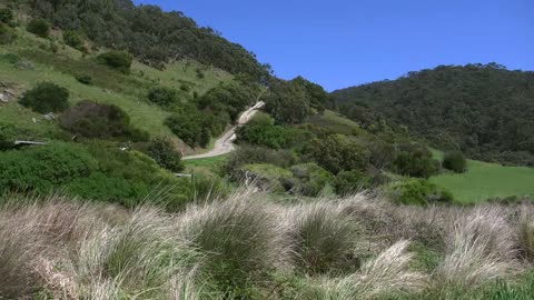 Australia Great Ocean Road Interior With Dirt Road