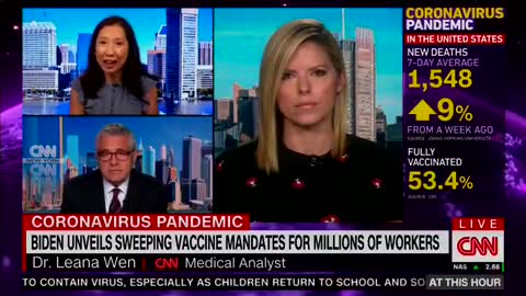 NEW - CNN "Health Pundit" claims travel within the U.S. is a "privilege"