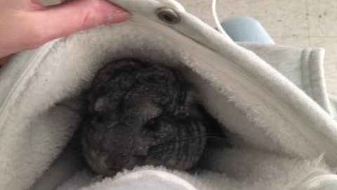 Zel in pouch