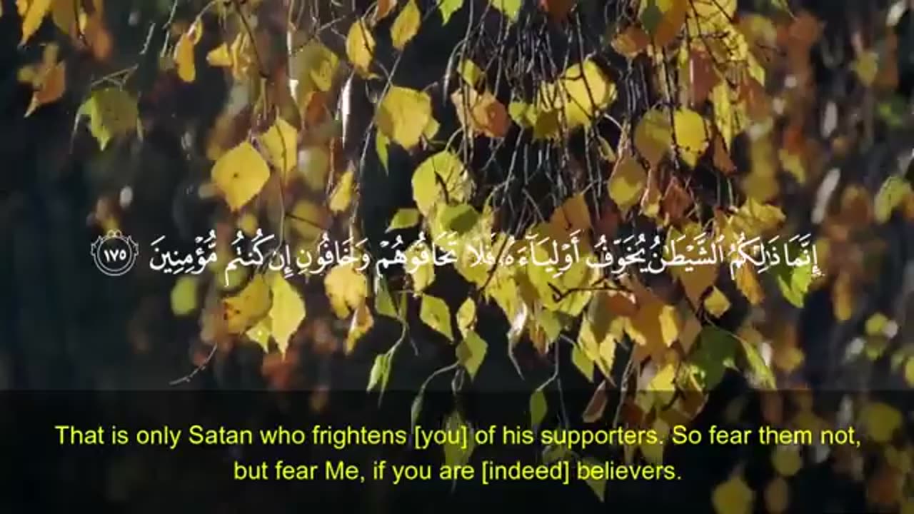 Full Surah Al-Imran Recitation with English Translation _ Recite by Abdullah Al-Khalaf(360P).