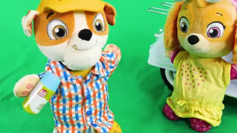 Paw Patrol ¡Ve a nadar en un día caluroso y aprende sobre el dinero y la responsabilidad!