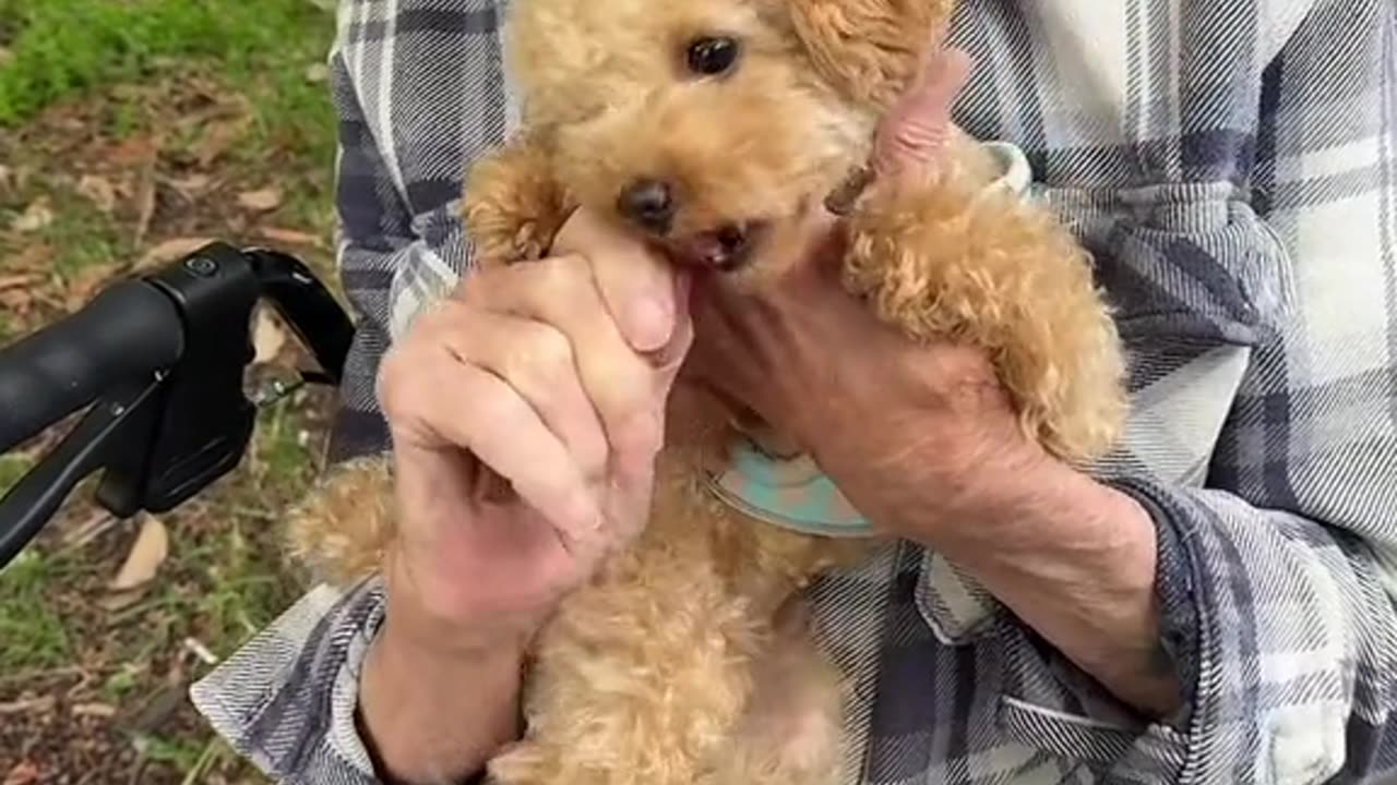 TWO FRIENDS FIND EACH OTHER~MY DOG HAS😘 BONDED WITH AN ELDERLY MAN FROM A NURSING HOME