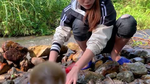 Build a wonderful shelter in the middle of a stream with adorable baby monkeys-19