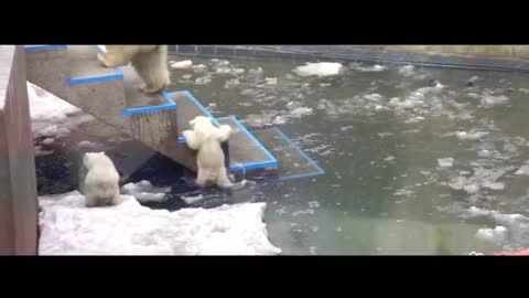Ha ha! I couldn't jump over it, so I had to climb up