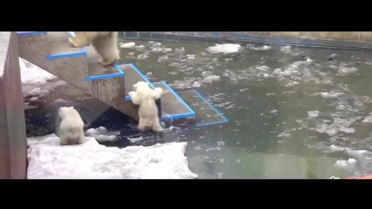 Ha ha! I couldn't jump over it, so I had to climb up