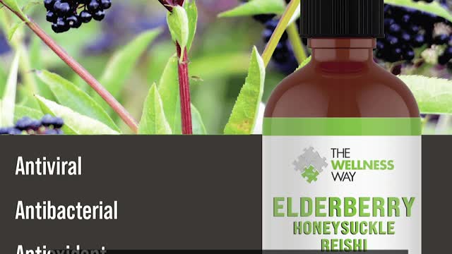 The Importance of Elderberry