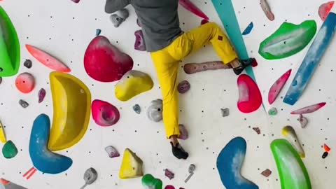 Cat Mountain King Deep Green Treaty v5