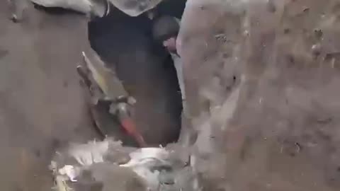 Full video our fighter struggle with invaders