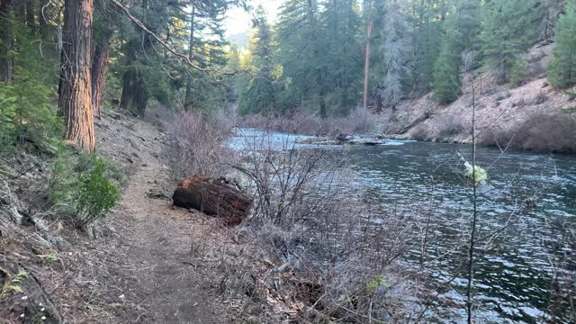 Contrarian Hiking Strategy – Metolius River – Central Oregon