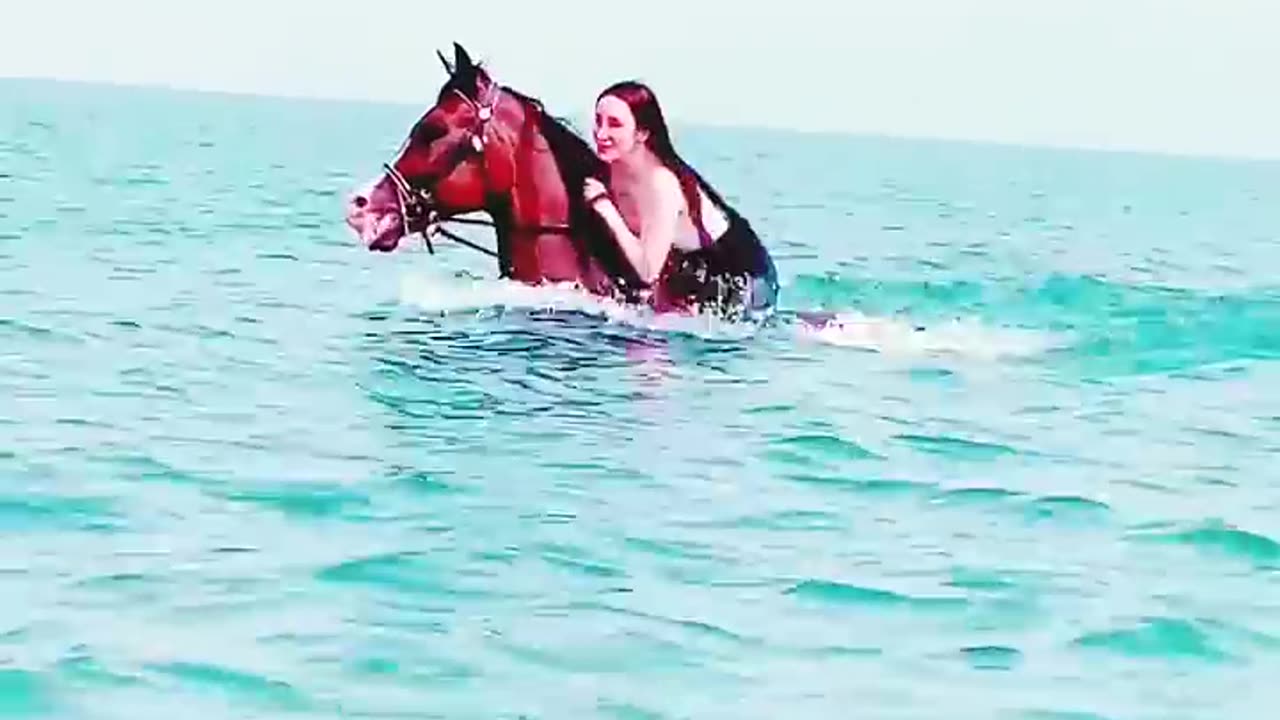 Dubai beach horse riding #horsebackriding #horse #horseride #dubailife